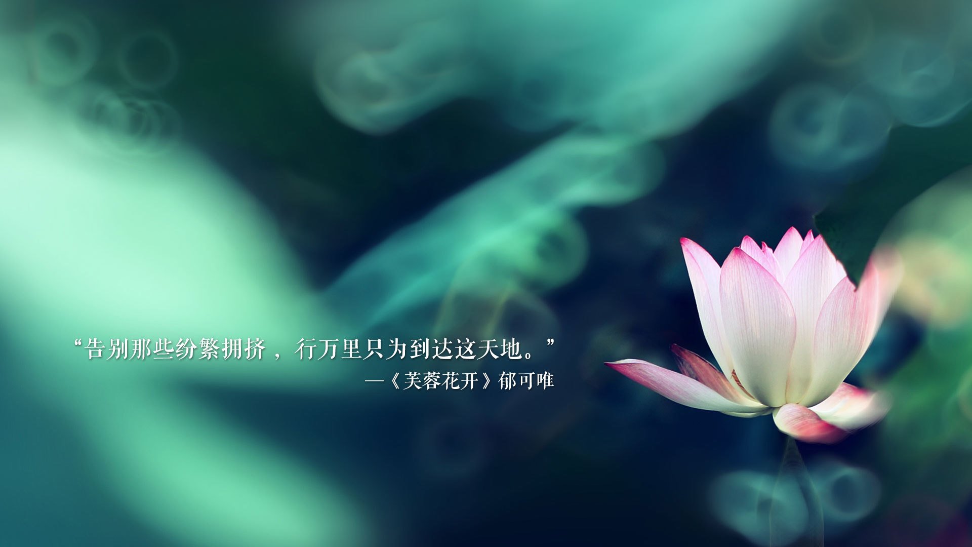 挖掘机发动机最全图解（挖掘机发动机的作用）